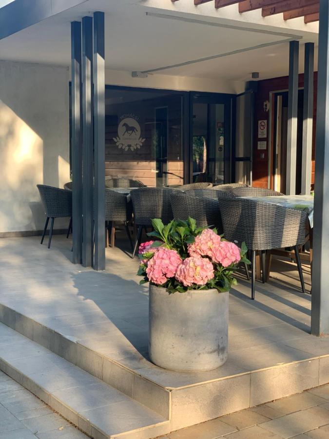 Mohacsi Wellness Vendeghaz Es Lovasklub Hotel Exterior foto